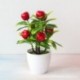 Szín: 16 fej paprika - Mesterséges növények Bonsai kis gyümölcsfa cserepes bonsai szimulációs dekoráció mesterséges