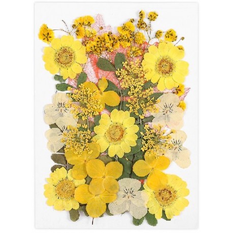 Szín: Style 05 - Préselt kis valódi szárított virágos száraz növények barkácsolás gyertya epoxigyanta medál