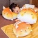 Magasság: 30 cm párna - 1db 30/40 cm-es Lovely Shiba Inu mackó és nyúl plüss játék takaró babákkal Kawaii kenyér