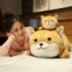 Magasság: 35 cm - Újdonság, 35-75 cm Aranyos Corgi & Shiba Inu Kutya Plüss Játékok Kawaii Fekvő Husky Párnával
