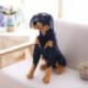 Magasság: 23 cm - Kitömött Rottweiler kutya Plüss játék szimuláció Hadsereg Kutyák Aranyos Kutya Baba