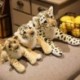 Magasság: 39 cm - Szép szimuláció Oroszlán Tigris Leopárd Plüss játékok Aranyos kitömött puha, igazi állatszerű
