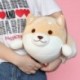 Szín: 50 cm sárga - 1 db Lovely Fat Shiba Inu & Corgi Kutya Plüss Játékok Töltött puha Kawaii Állati Rajzfilm Párna