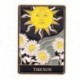 Fém színe: XZ5246 - Punk stílusú Tarot sorozat Bross Hold Nap Csillag Bross Koponya Festék Halloween Ruházat