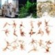 V__logatott-k__zm__ves-mesters__gek-szimul__ci__s-b__v__helyek-Driftwood-barlang-FishTank-tereprendez__s-h__sv__ti-garn__lar__k