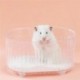 Hamster-Pet-Pan-Homokf__rd__-Finom-tiszta-f__rd__t__l-H__rcs__g-kieg__sz__t__k-Homokf__rd__-Zuhanyz__szoba-Sz__razf__rd__-N84C