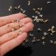Sz__n_-arany---50db_t__tel-Bark__csol__s-Divat-__kszer-Kieg__sz__t__-Akaszt__s-sapka-Claw-Nails-__tv__zet-Anyag-R__dium-bevonat