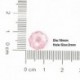 Sz__n_-r__zsasz__n---nagykereskedelmi-50db-10mm-es-t__bbsz__n__-vagy-vegyes-sz__nben-v__laszthat__-kerek-laza-t__vtart__